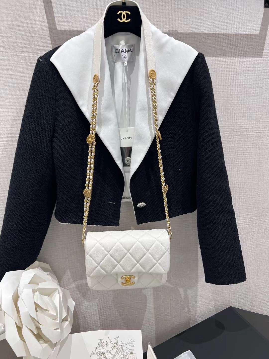 【P1880】广州包包批发 Chanel香奈儿新款公主白牛皮金币链条包20CM