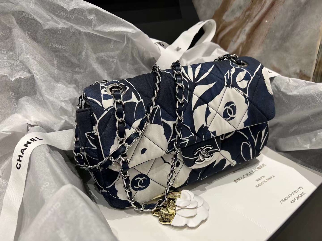 【P1170】Chanel包包官网 香奈儿22年秋冬新款海棉菱格链条单肩包CF25CM