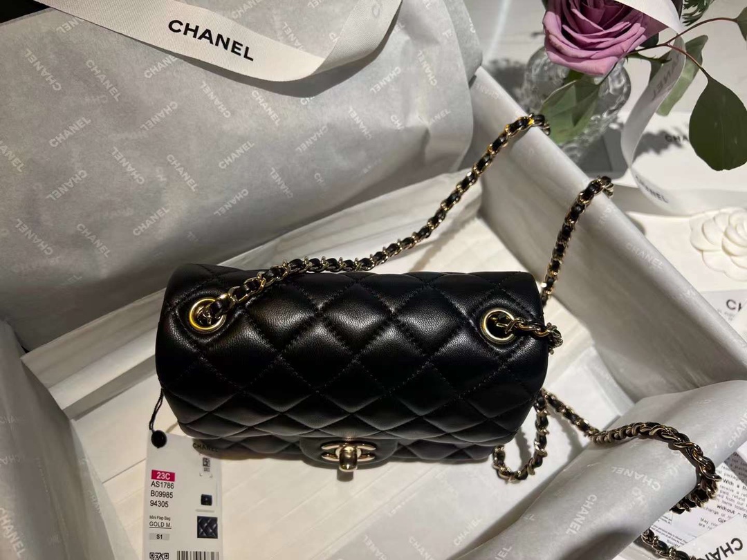 【P1880】厂家直销 Chanel香奈儿23年早春新款黑白格圆锁调节链条斜挎包CF17CM